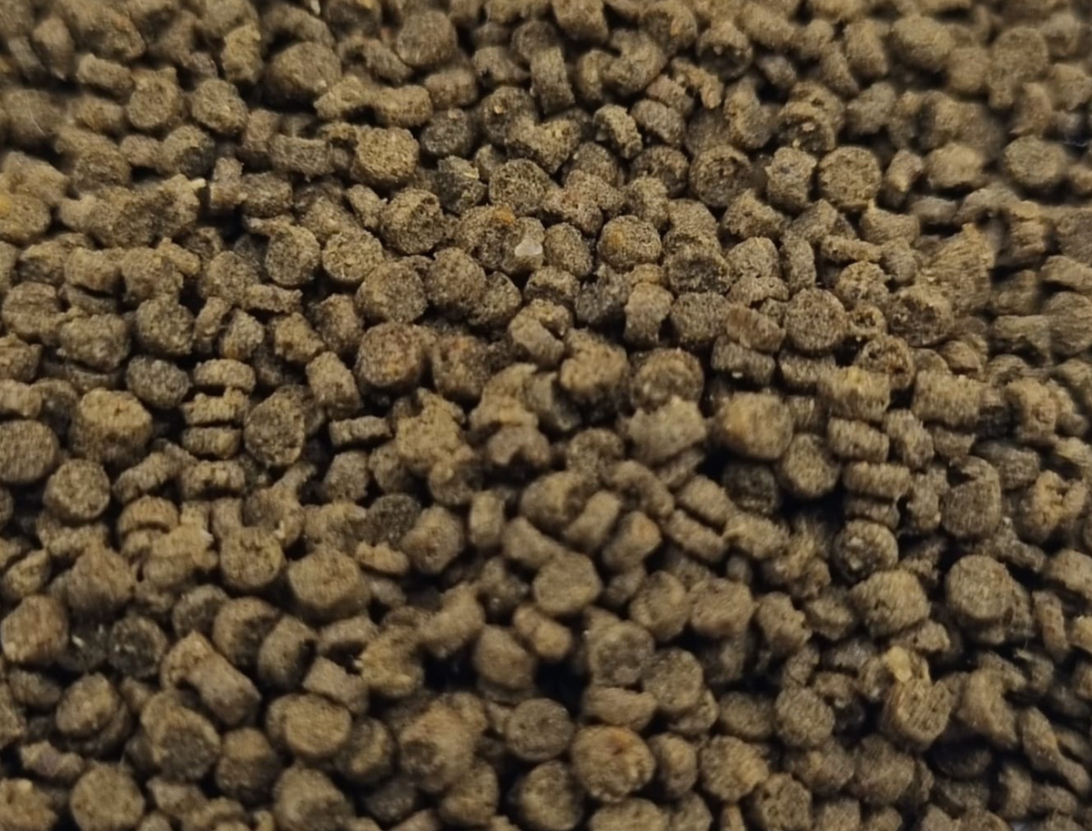 Guggenbühl Züchter-Bits – Premium Hauptfutter für Aquarienfische – 5.000 g