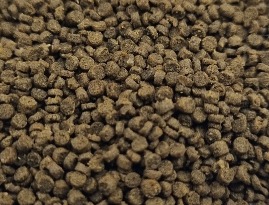 Guggenbühl Züchter-Bits – Premium Hauptfutter für Aquarienfische – 5.000 g