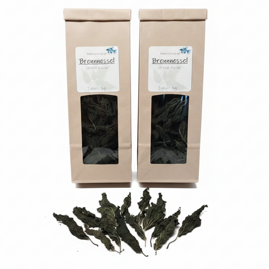 Brennnessel – Naturfutter für Garnelen, Krebse, Schnecken und Welse