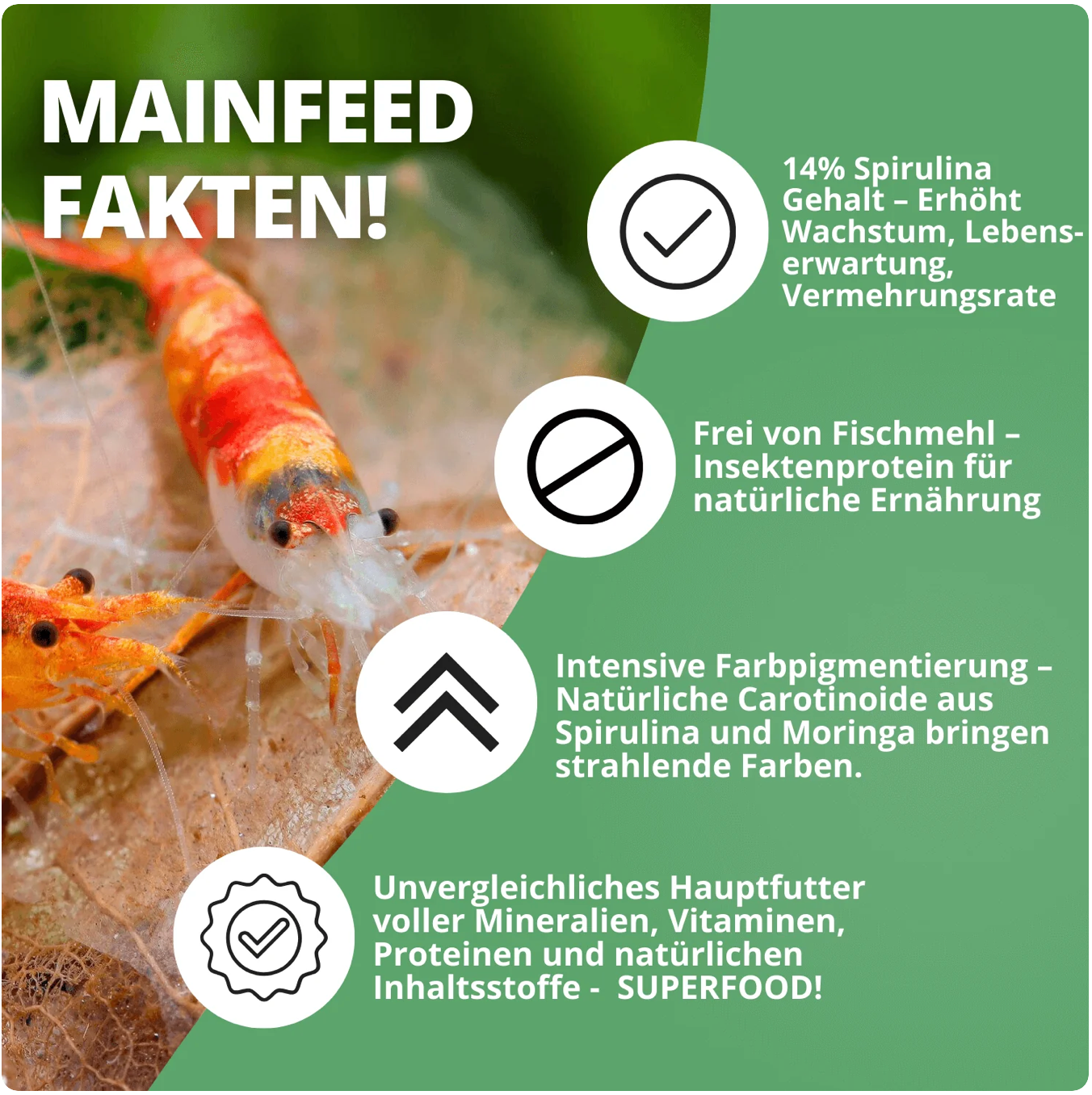 NatureHolic - Mainfeed Garnelenfutter - 30g