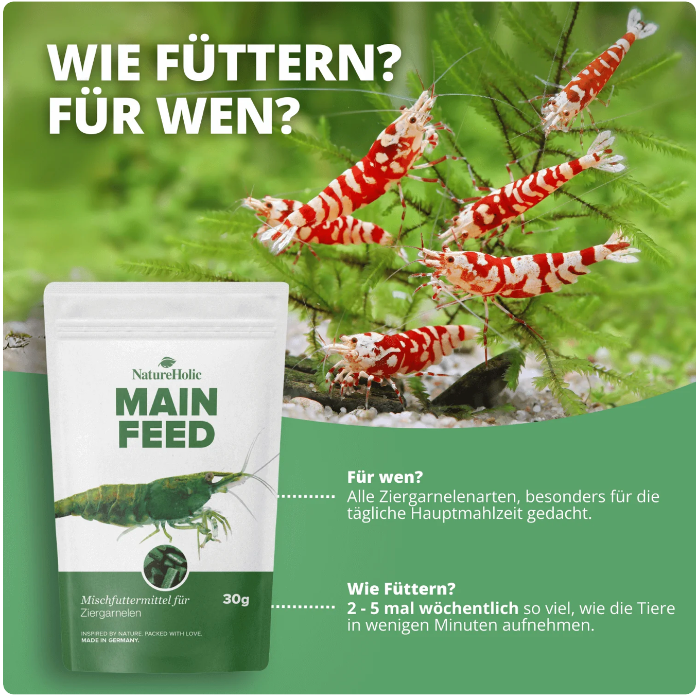 NatureHolic - Mainfeed Garnelenfutter - 30g