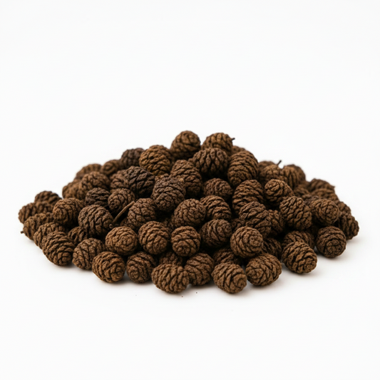 Erlenzapfen (10 g) – Naturprodukt für Aquarium