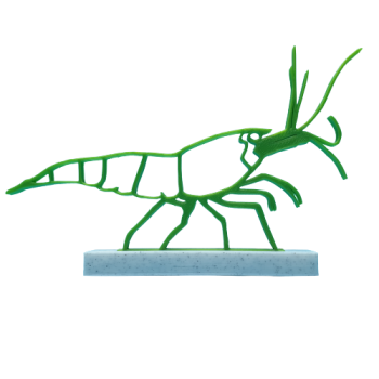 Deko-Garnele Green Jade