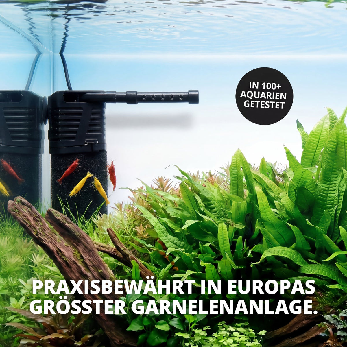 NatureHolic Nano Eckfilter – Der Garnelenfilter - 100% Garnelen- & babysicher