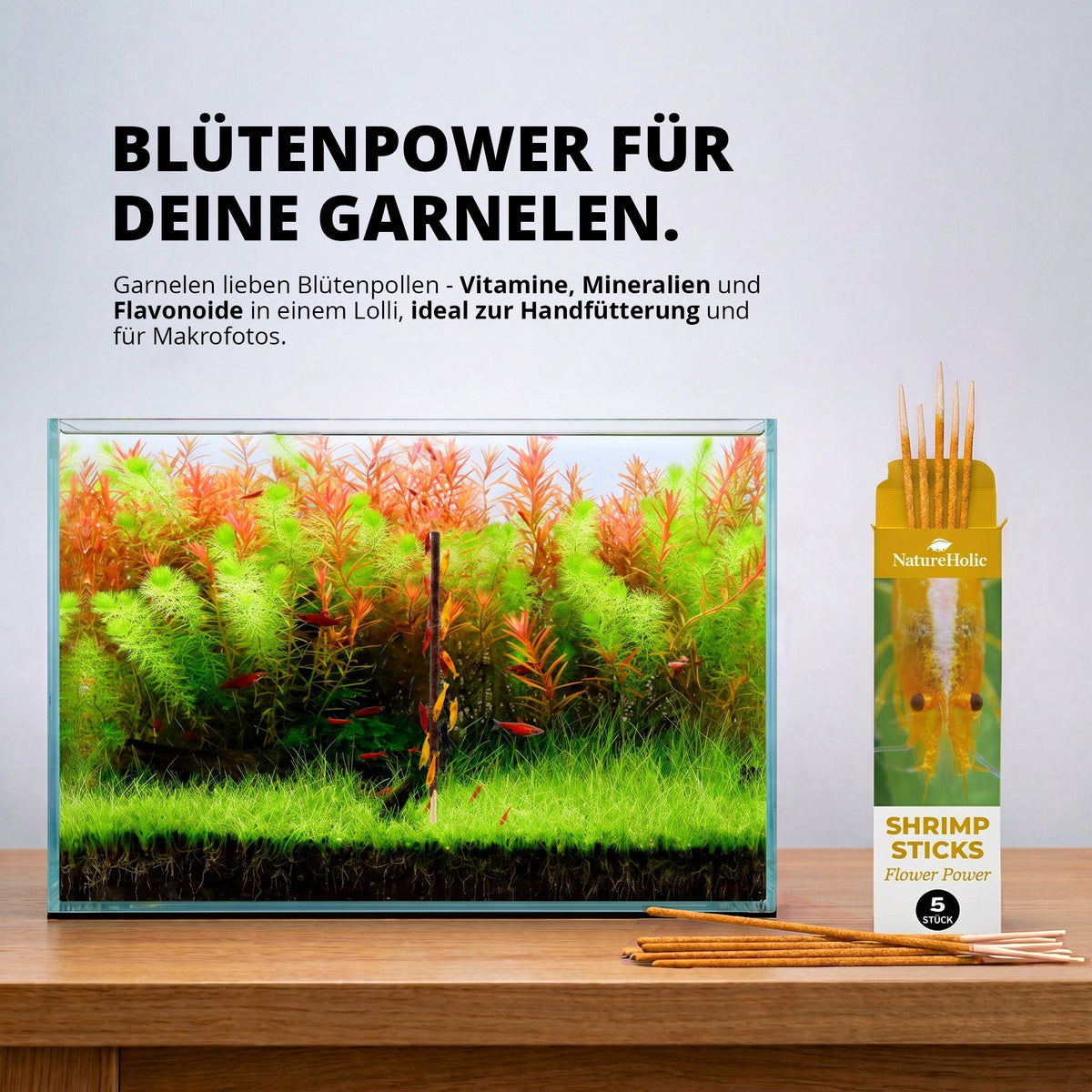 NatureHolic - Garnelen Lollies „Flower Power“ -  5 Lollis fürs Aquarium