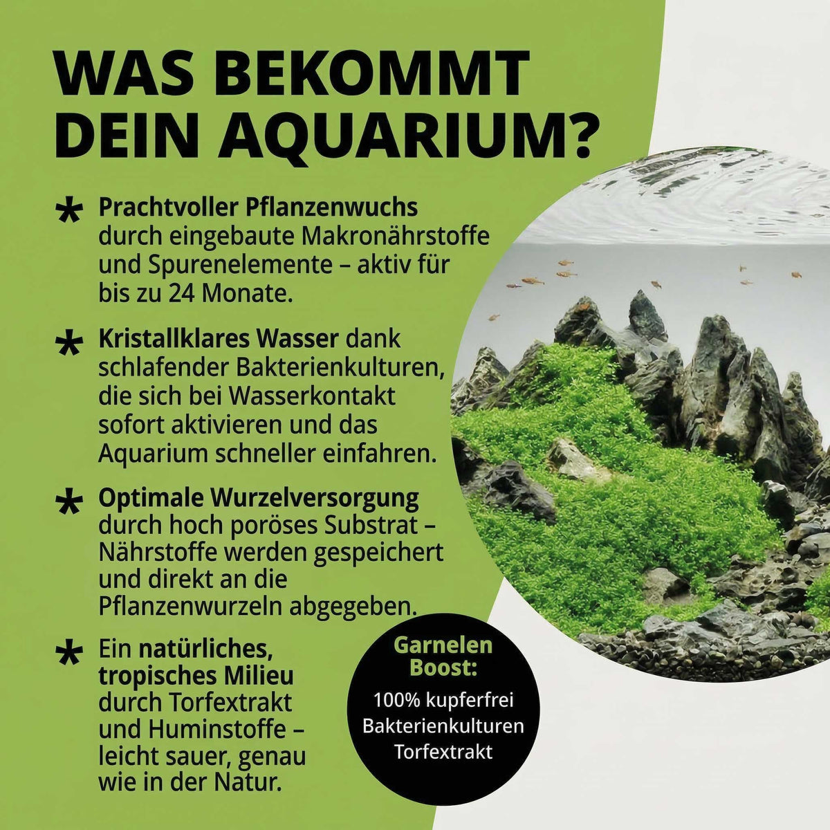 Natureholic - GroundBooster - Nährboden für Nano & Garnelenaquarien