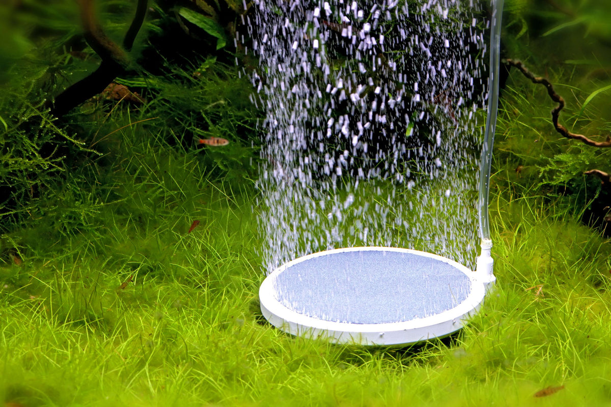 NatureHolic - Bubble Disc - Ausströmerstein