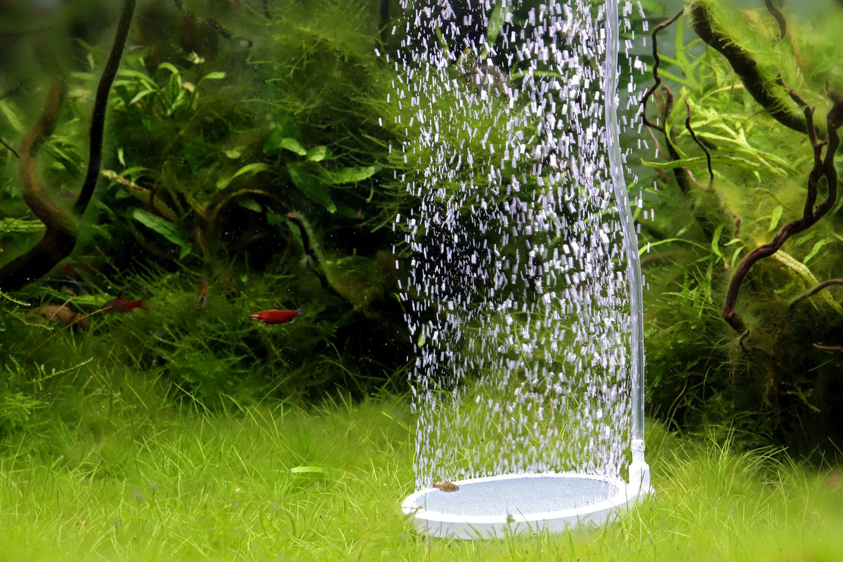 NatureHolic - Bubble Disc - Ausströmerstein