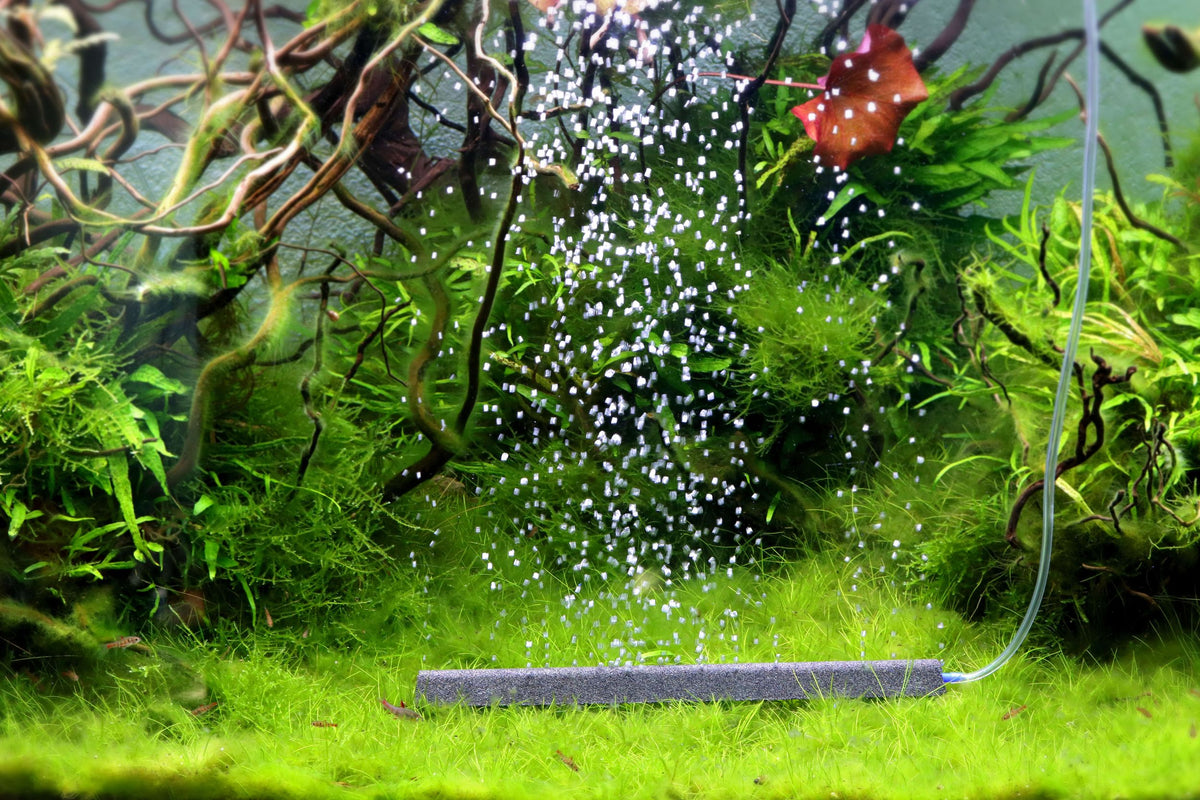 NatureHolic - Bubble Bar - Ausströmerstein
