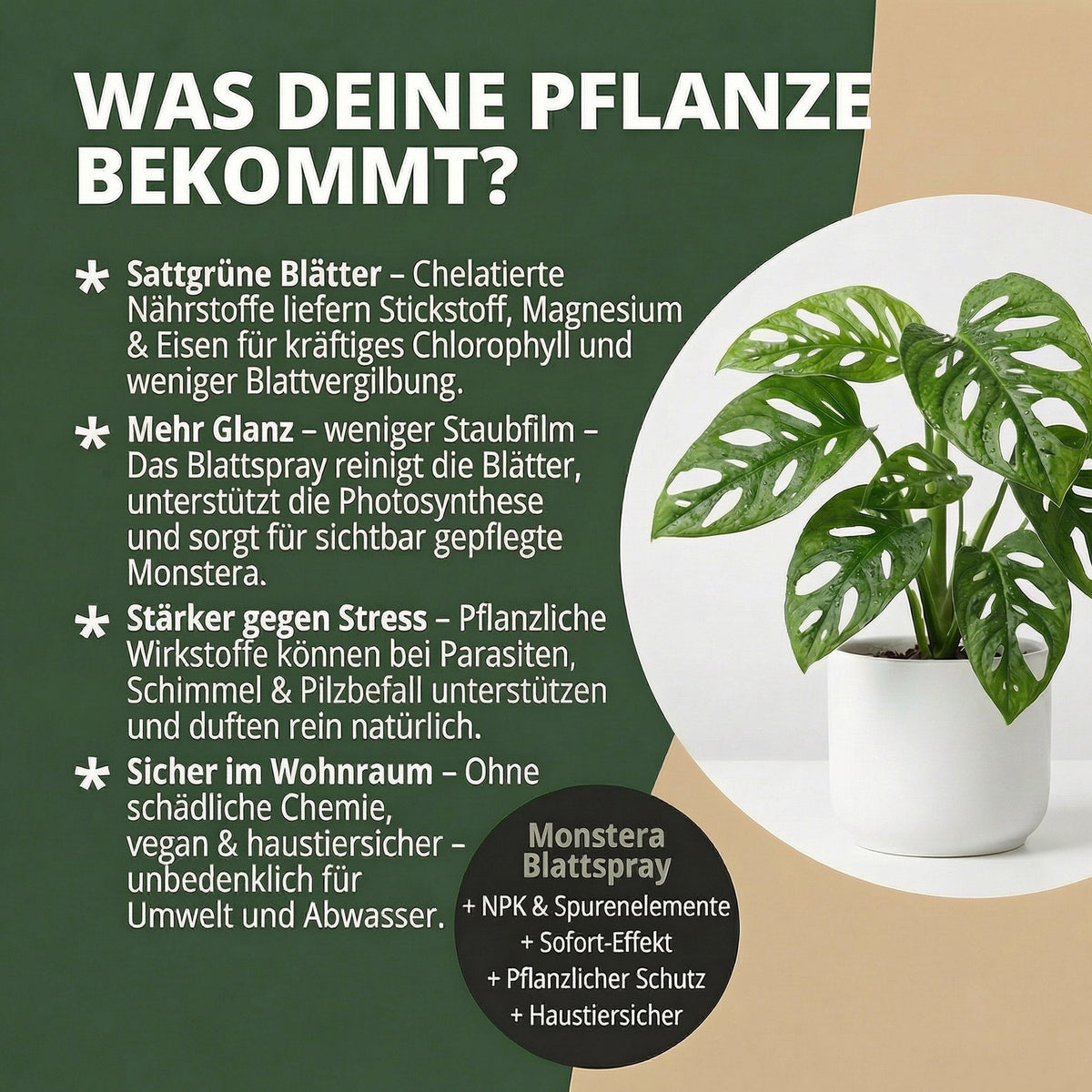 NatureHolic Monstera Spray - Blattspray Dünger
