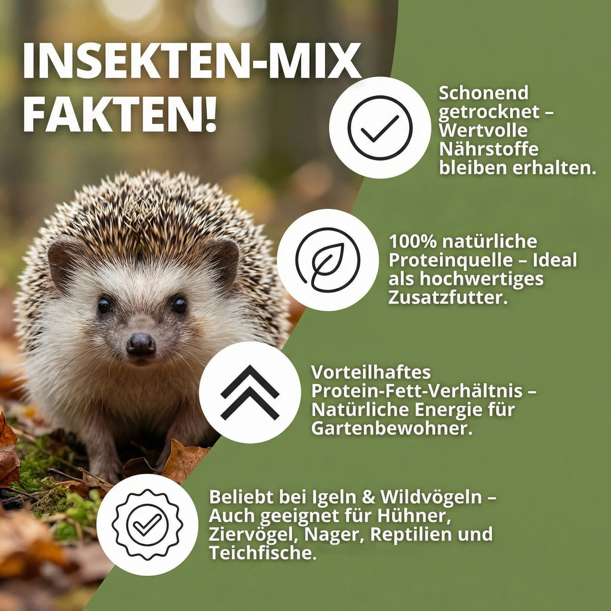 NatureHolic - Mehlwürmer & Soldatenfliegen Mix