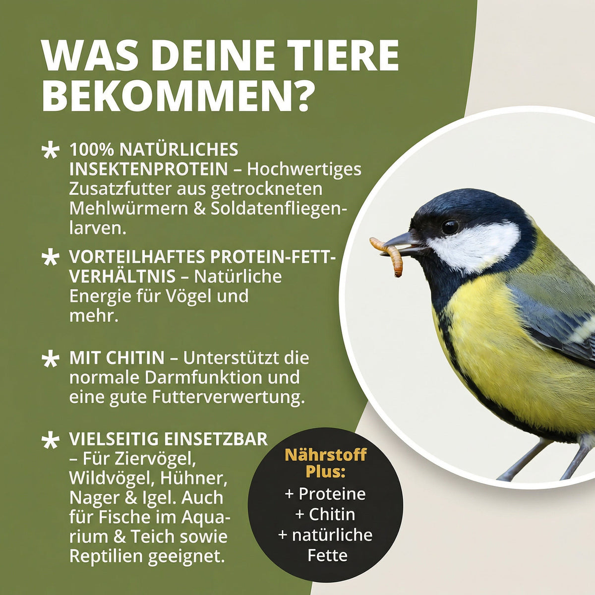 NatureHolic - Mehlwürmer & Soldatenfliegen Mix
