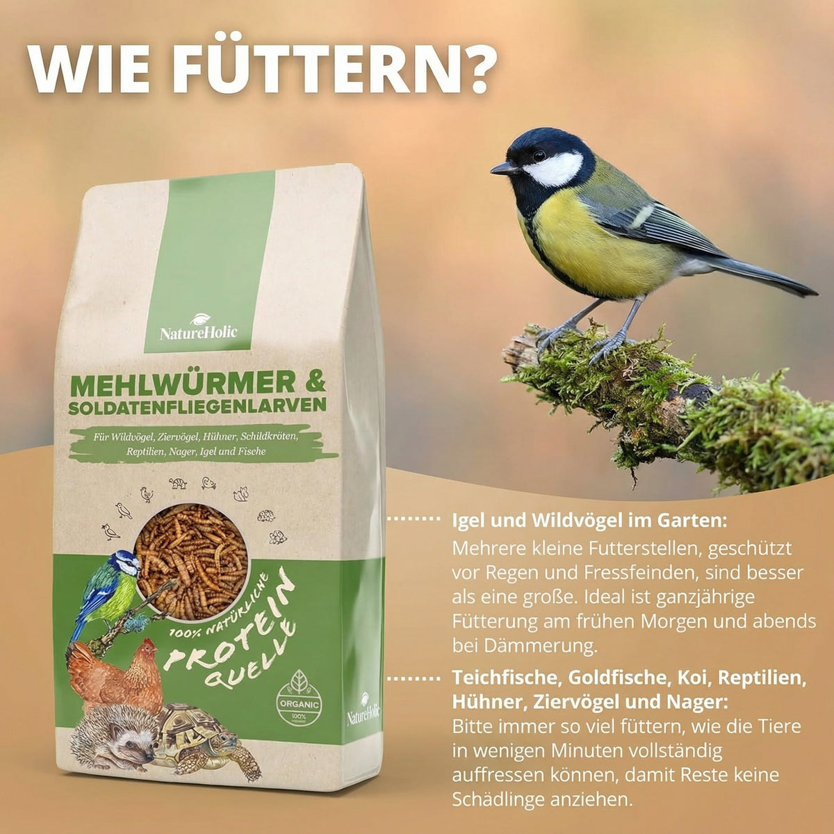 NatureHolic - Mehlwürmer & Soldatenfliegen Mix
