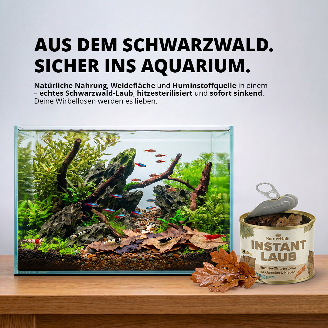 NatureHolic Instant Laub - Sterilisierte und vorgewässerte Laubportionen - 100g