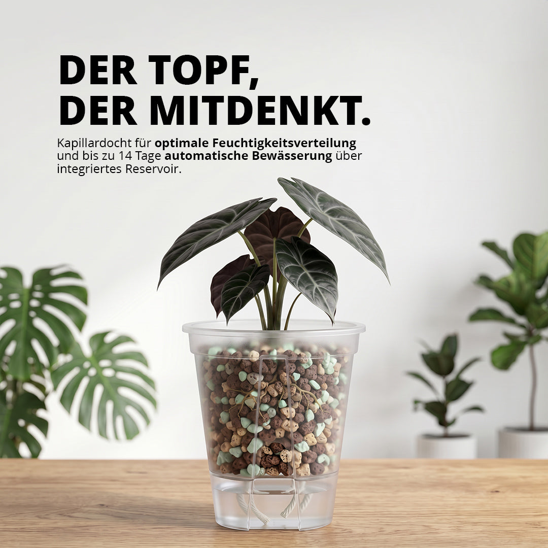 NatureHolic Junglepot - Selbstbewässernder Topf