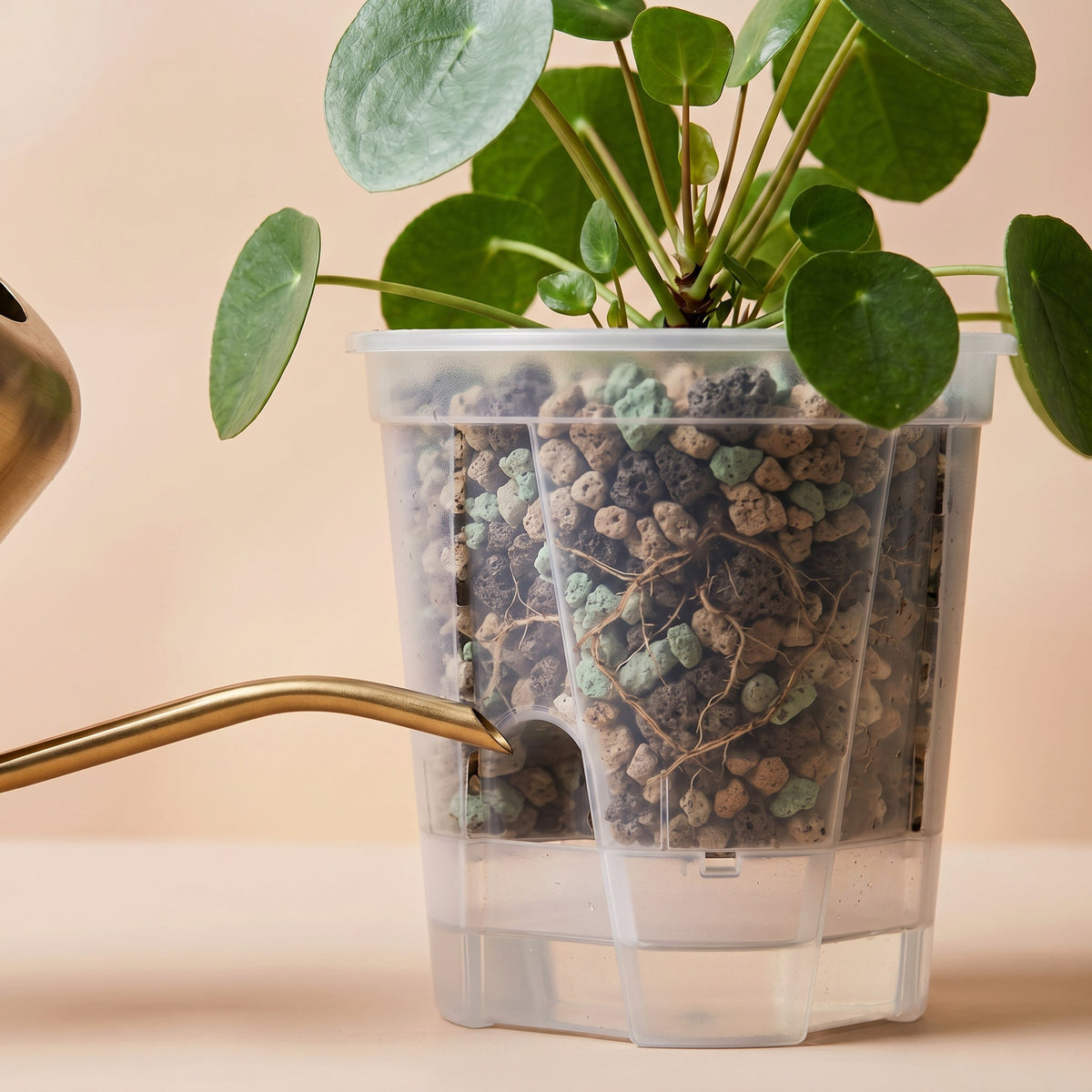 NatureHolic Junglepot - Selbstbewässernder Topf