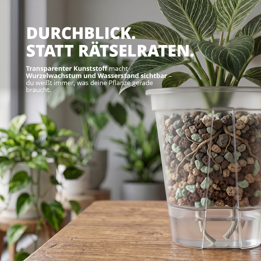 NatureHolic Junglepot - Selbstbewässernder Topf