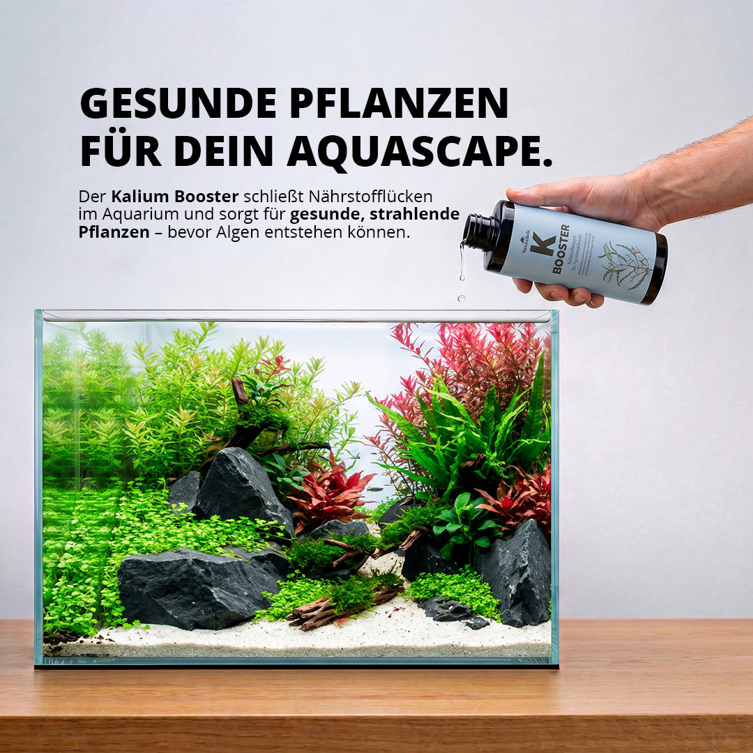 NatureHolic - K Booster - flüssiger Kalium Aquariumdünger