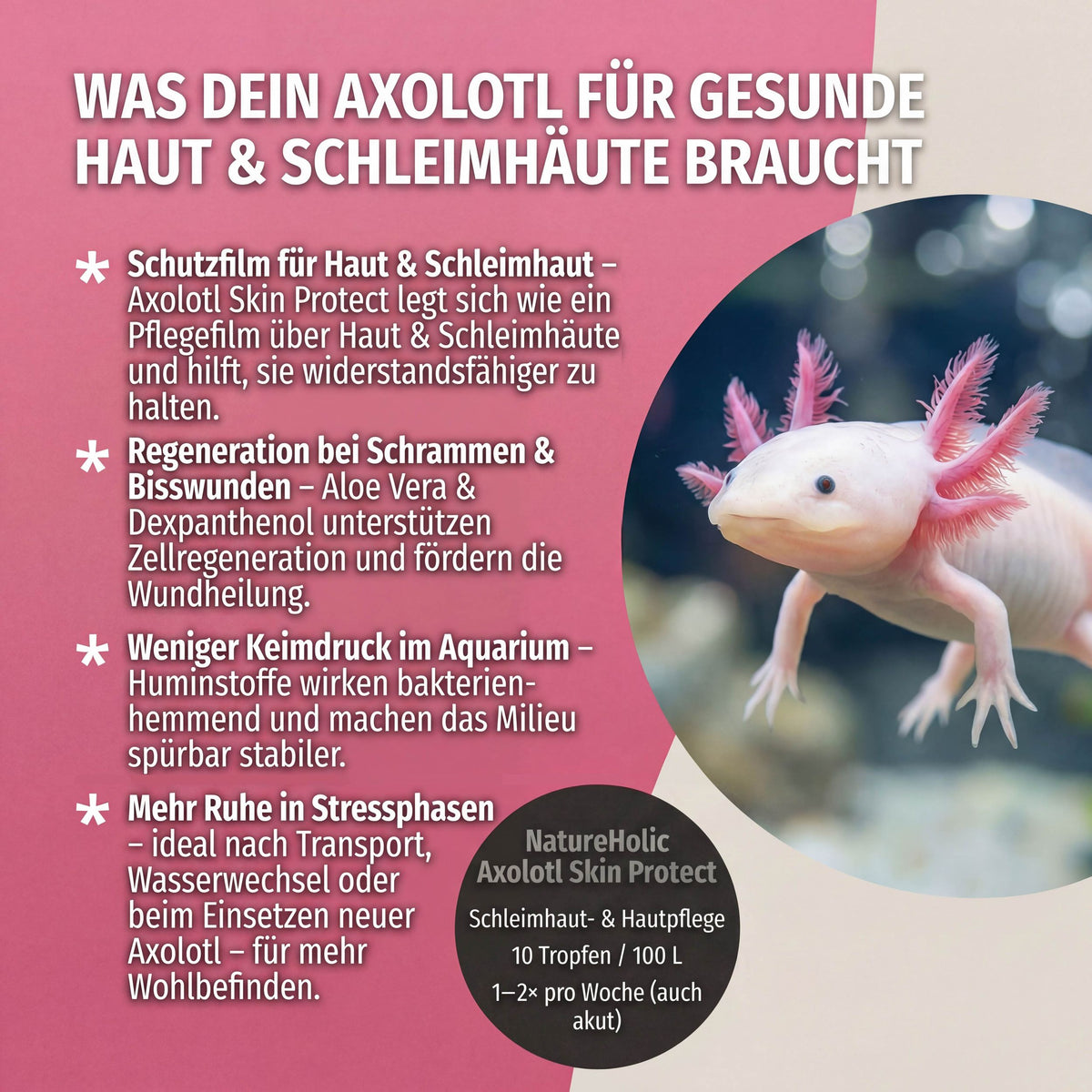 NatureHolic Axolotl Skin Protect - 125ml Schleimhautschutz & Hautpflege für Axolotl