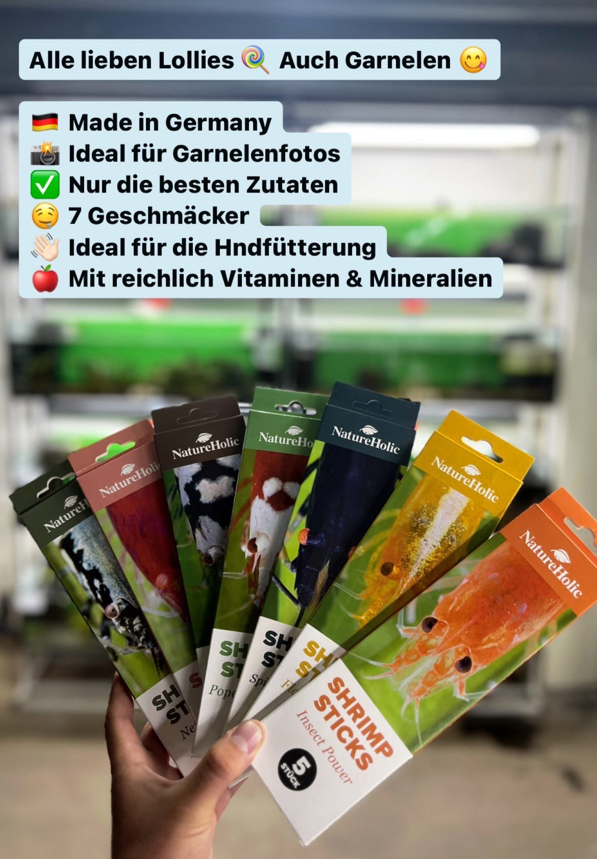 NatureHolic - Garnelen Lollies „Blue Spirulina“ - 5 Lollis fürs Aquarium