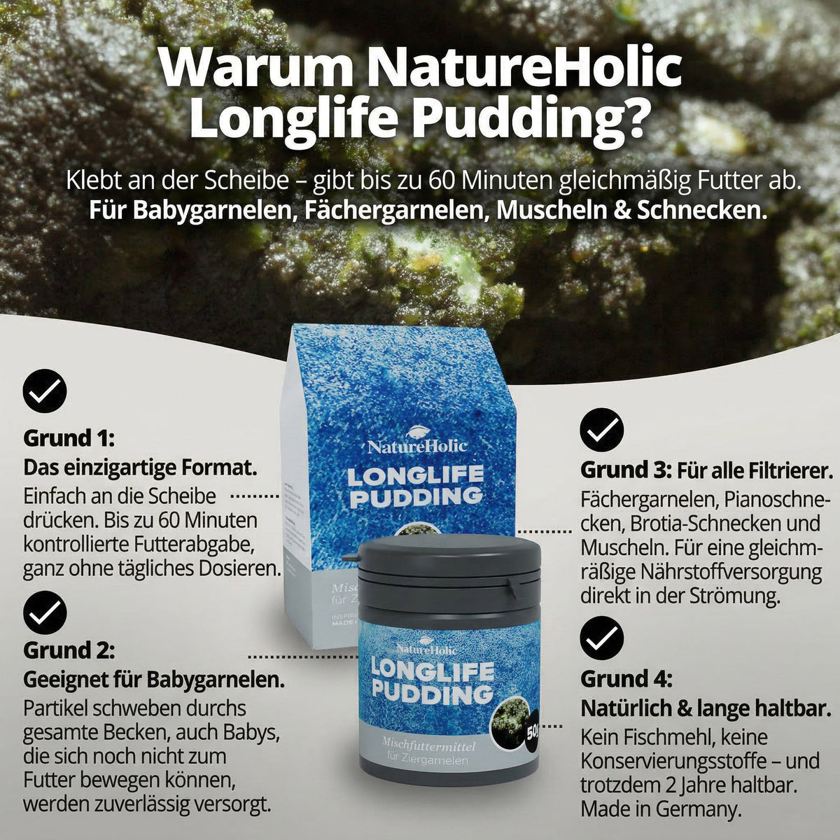 NatureHolic - Longlife Pudding Garnelenfutter - 50ml