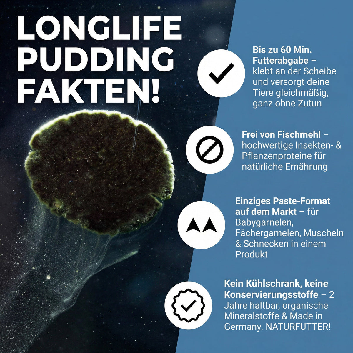 NatureHolic - Longlife Pudding Garnelenfutter - 50ml