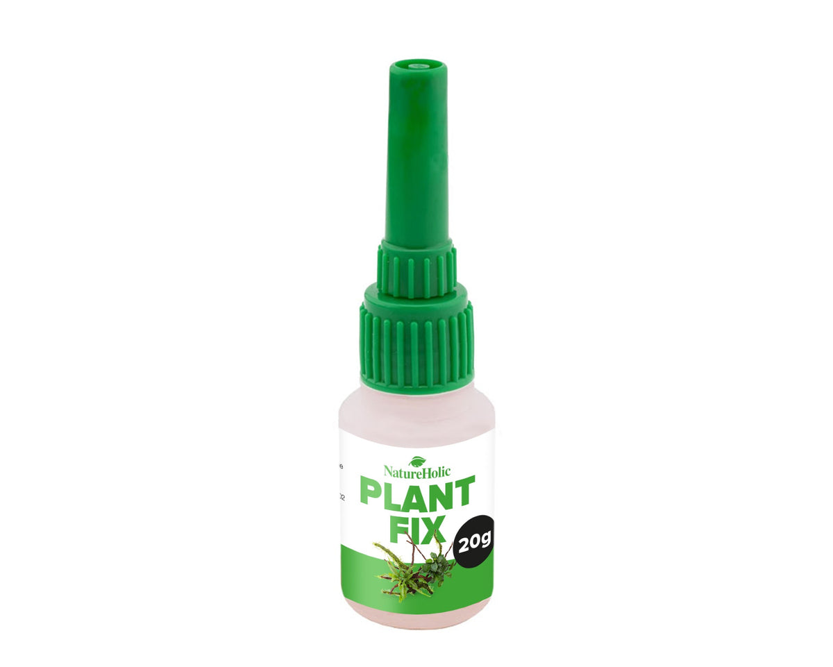 NatureHolic - Plant Fix - Pflanzenkleber - 20g