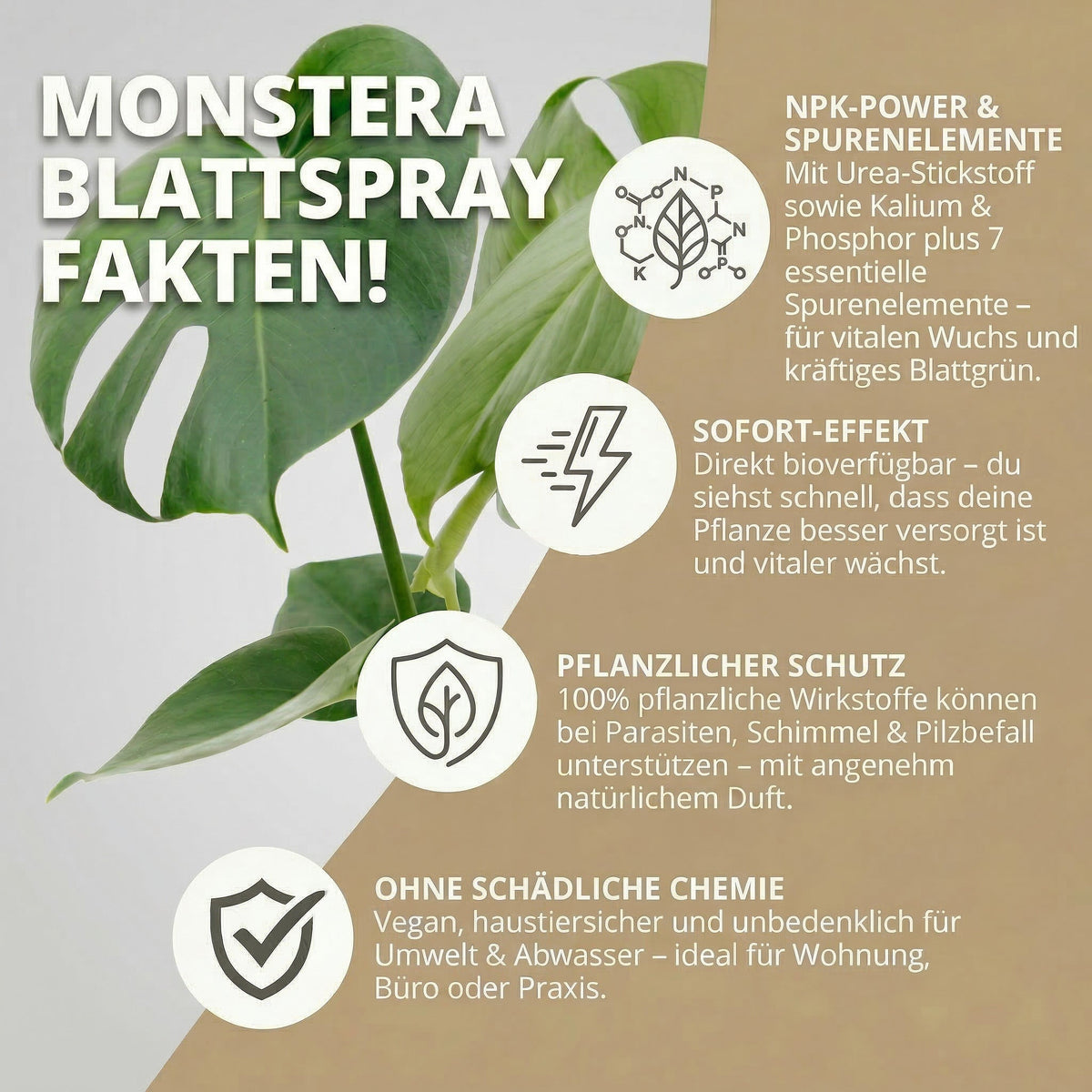 NatureHolic Monstera Spray - Blattspray Dünger