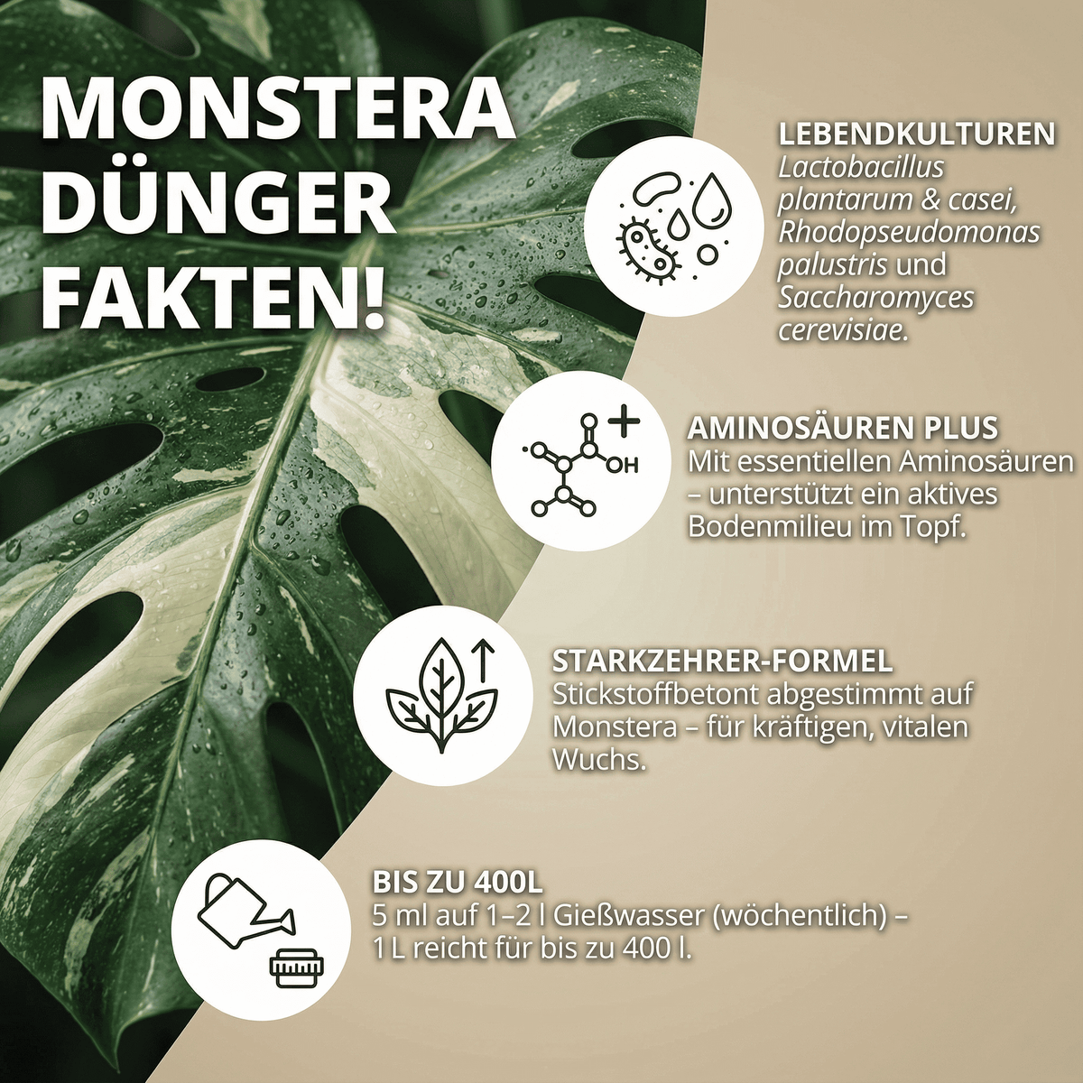 NatureHolic Monstera Dünger - Biologischer Zimmerpflanzendünger - 1000ml