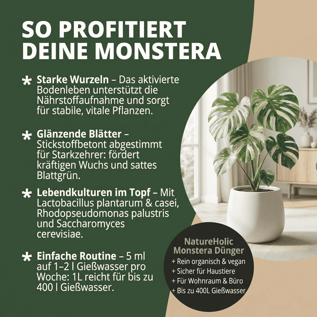 NatureHolic Monstera Dünger - Biologischer Zimmerpflanzendünger - 1000ml