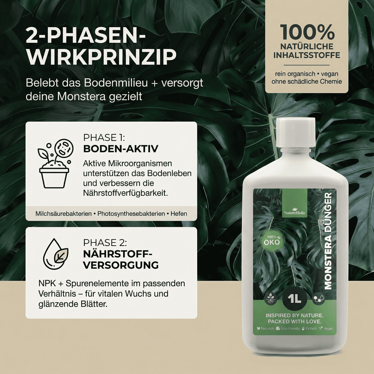 NatureHolic Monstera Dünger - Biologischer Zimmerpflanzendünger - 1000ml