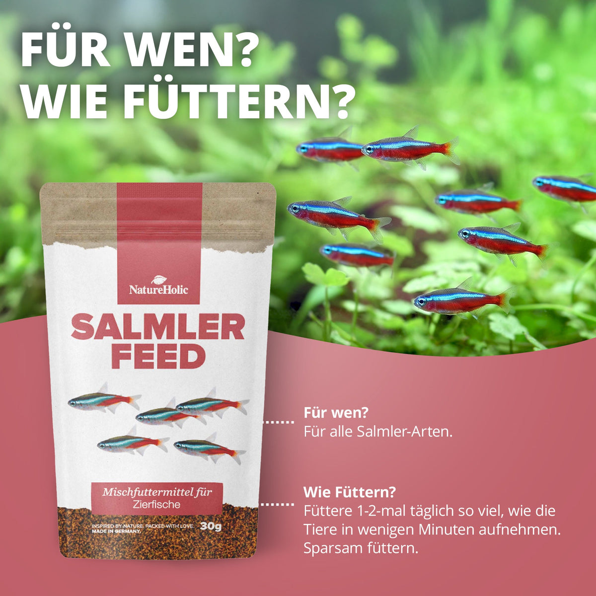 NatureHolic - Salmlerfeed - 30g
