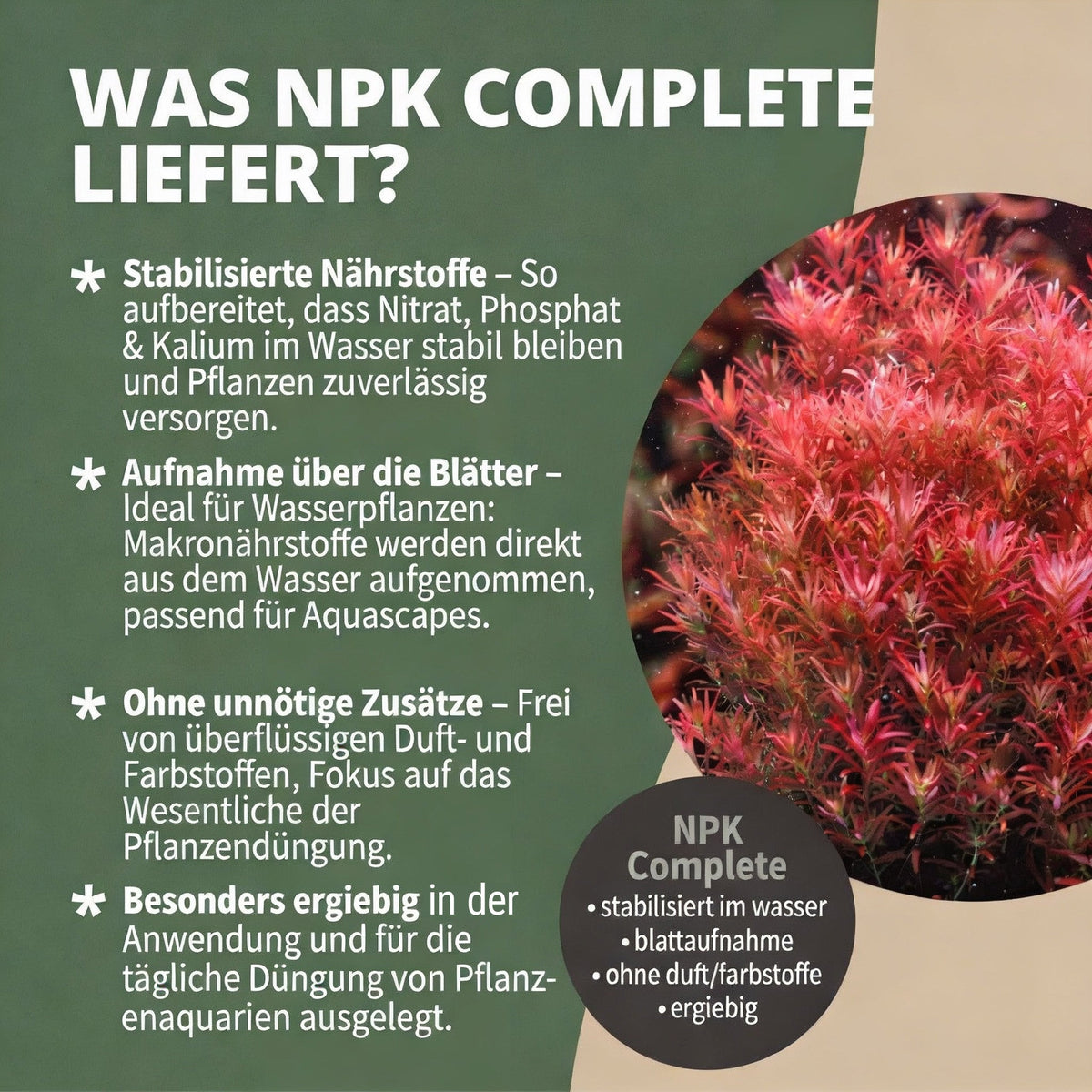 NatureHolic - NPK Complete - flüssiger Volldünger fürs Aquarium