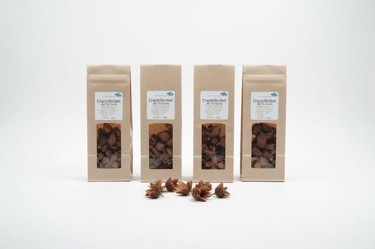 Fruchtbecher der Rotbuche – Naturfutter für Garnelen, Krebse, Schnecken und Welse