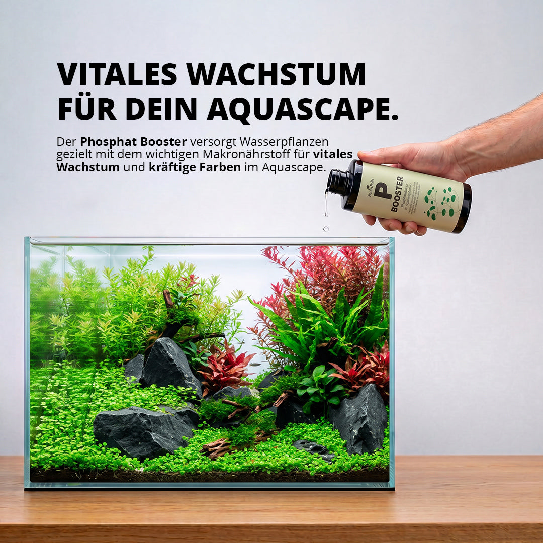 NatureHolic - P Booster - flüssiger Phosphat Aquariumdünger