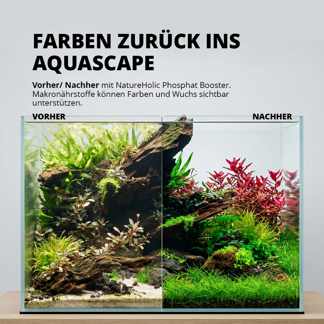 NatureHolic - P Booster - flüssiger Phosphat Aquariumdünger