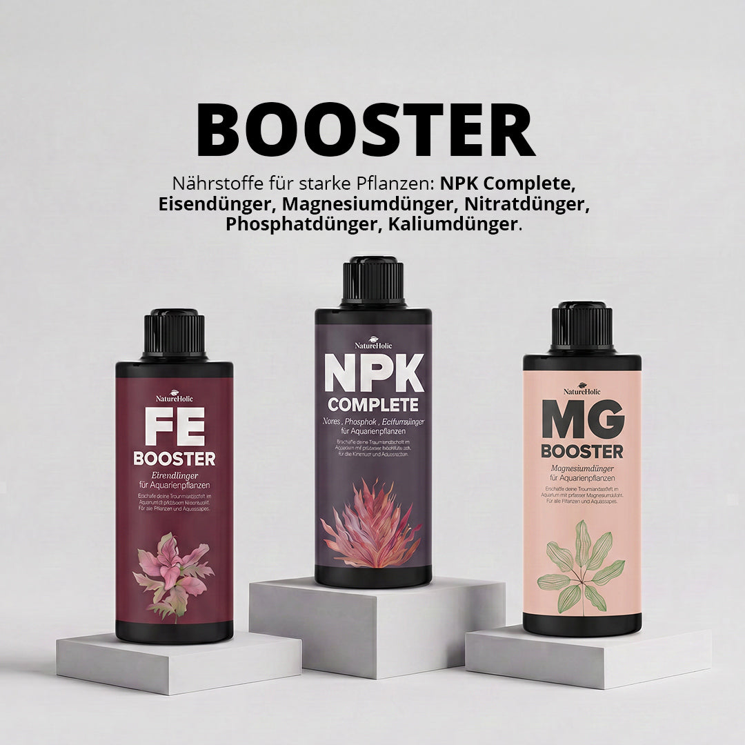 NatureHolic - P Booster - flüssiger Phosphat Aquariumdünger
