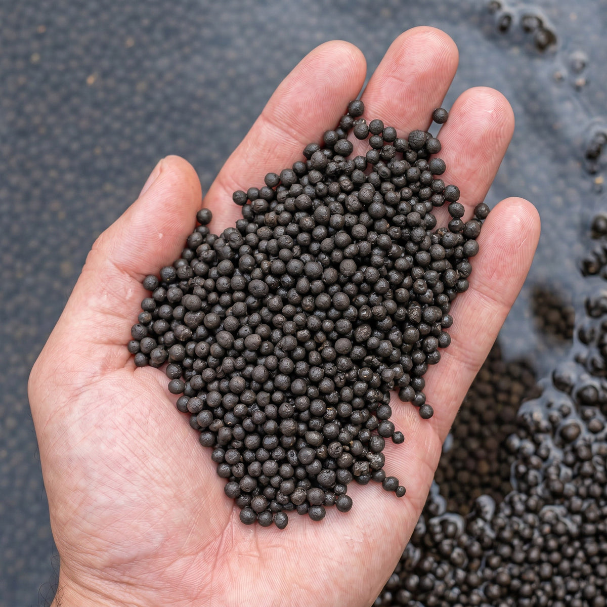 NatureHolic Plant Soil - Vorgedüngter Bodengrund für Aquarienpflanzen