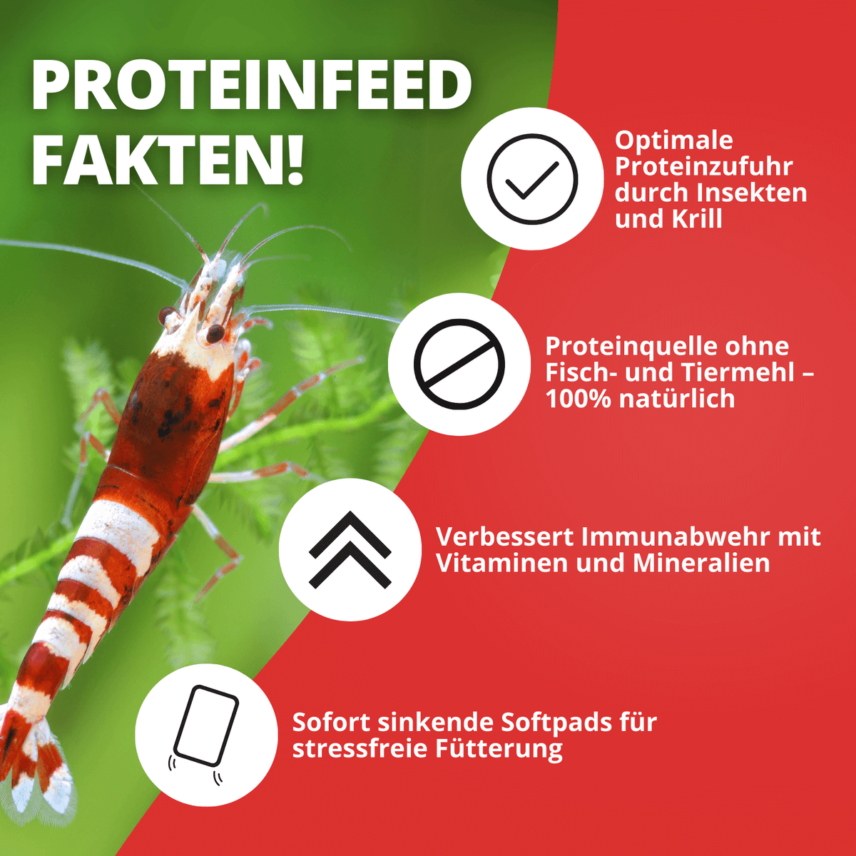 Proteinfeed Probepackung