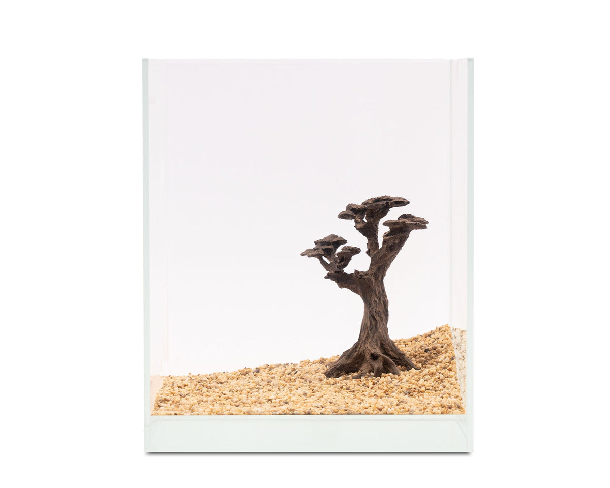 NatureHolic - Stone Bonsai - Pico