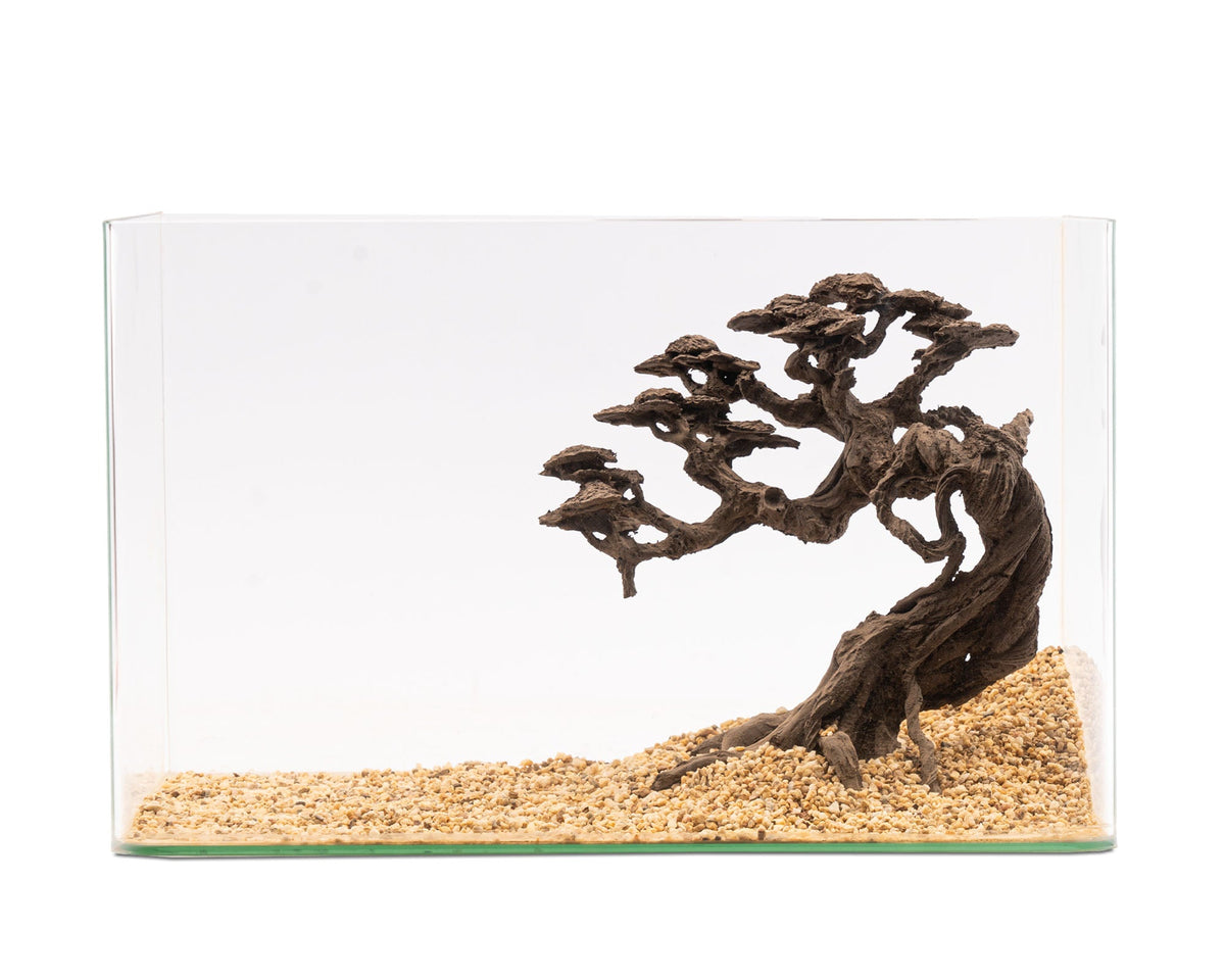 NatureHolic - Stone Bonsai - Kengai