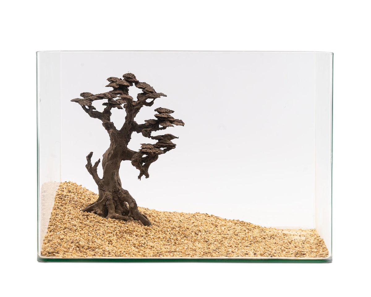 NatureHolic - Stone Bonsai - Koboku