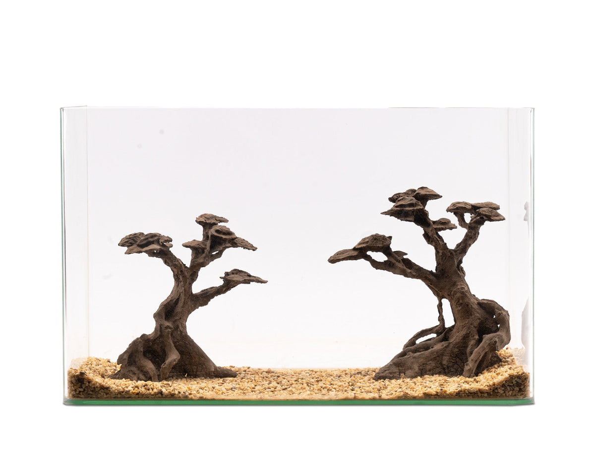 NatureHolic - Stone Bonsai - Kasei Twin