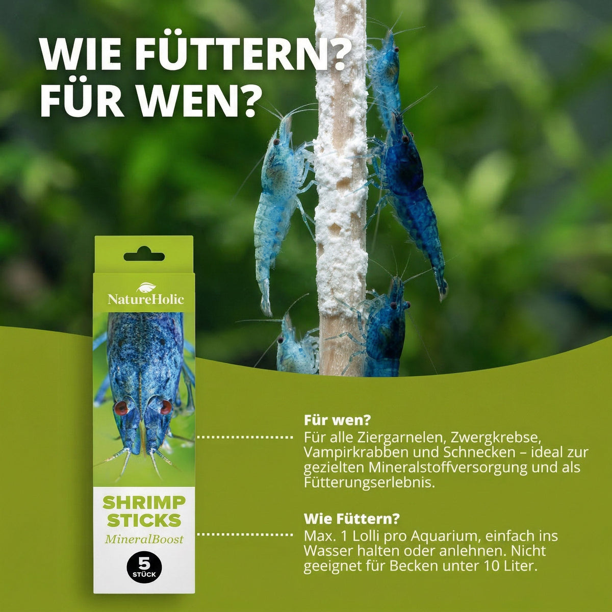 NatureHolic - Garnelen Lollies „MineralBoost“ - 5 Lollis fürs Aquarium