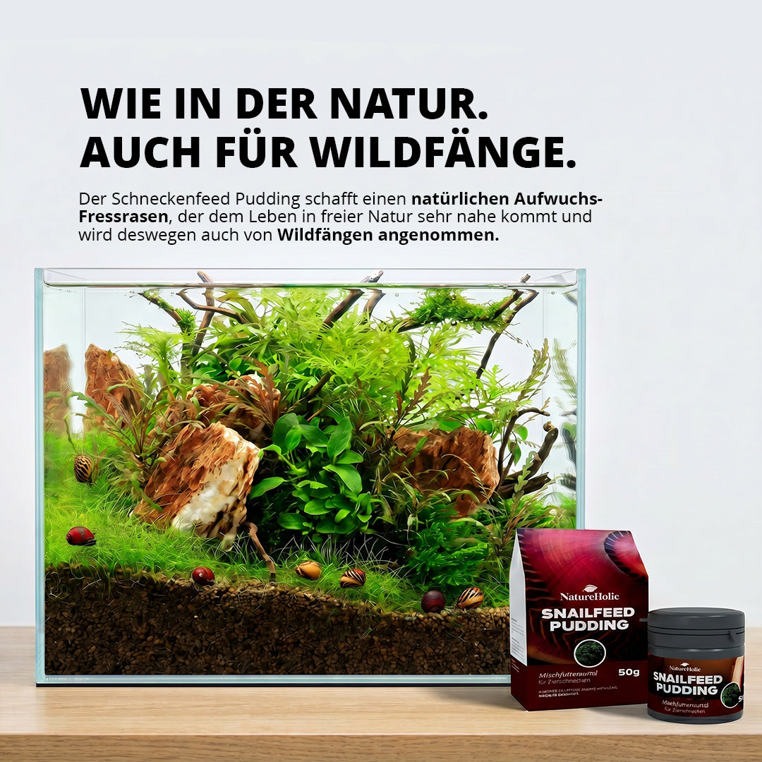 NatureHolic - Schneckenfeed Pudding - 50g Snailfeed Pudding