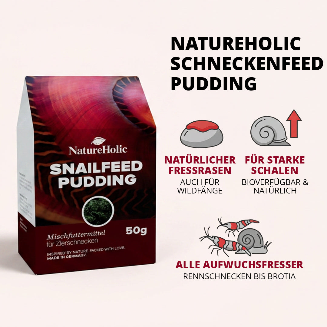 NatureHolic - Schneckenfeed Pudding - 50g Snailfeed Pudding