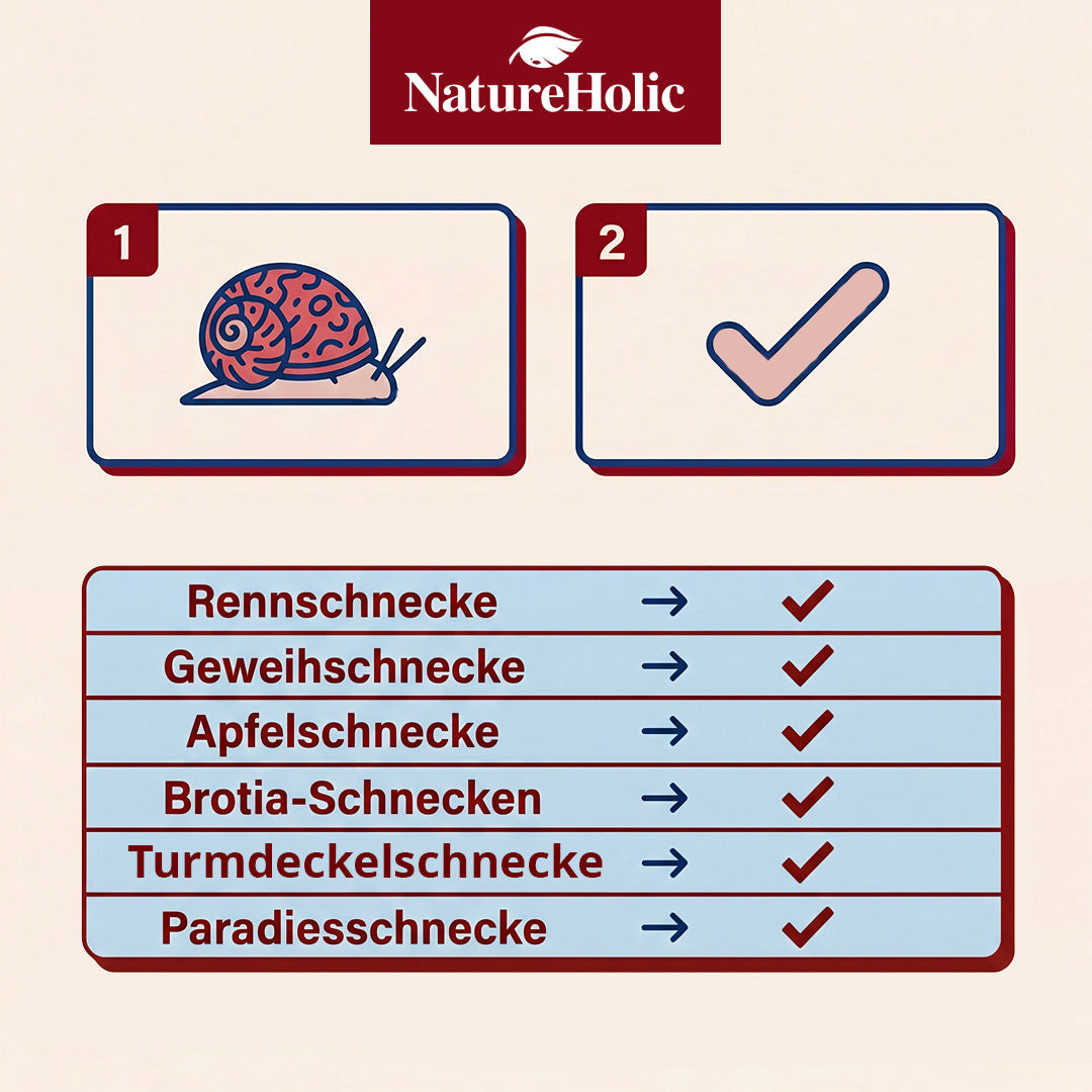 NatureHolic - Schneckenfeed Pudding - 50g Snailfeed Pudding