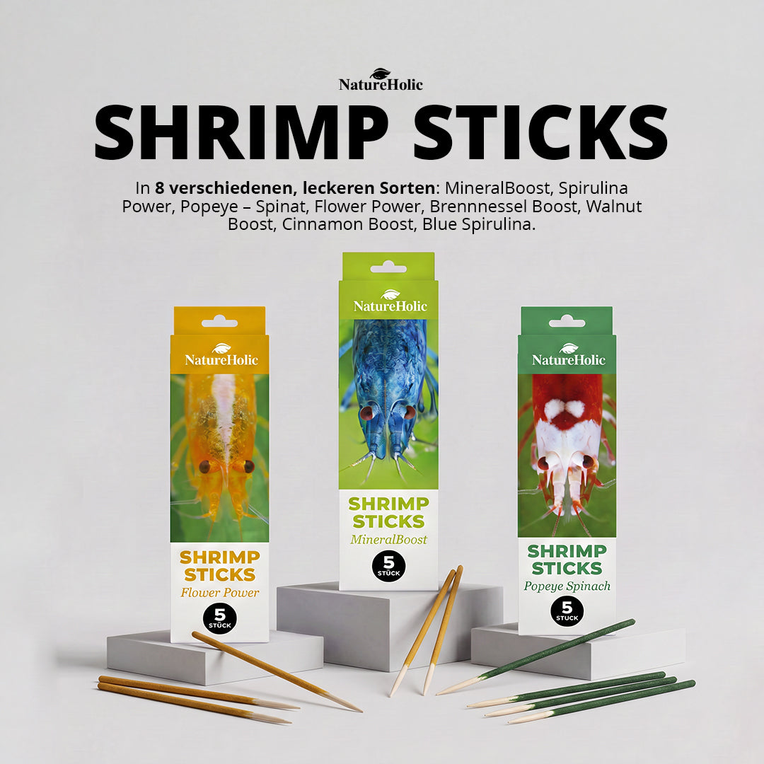 NatureHolic - Garnelen Lollies „Spirulinapower“ - 5 Lollis fürs Aquarium