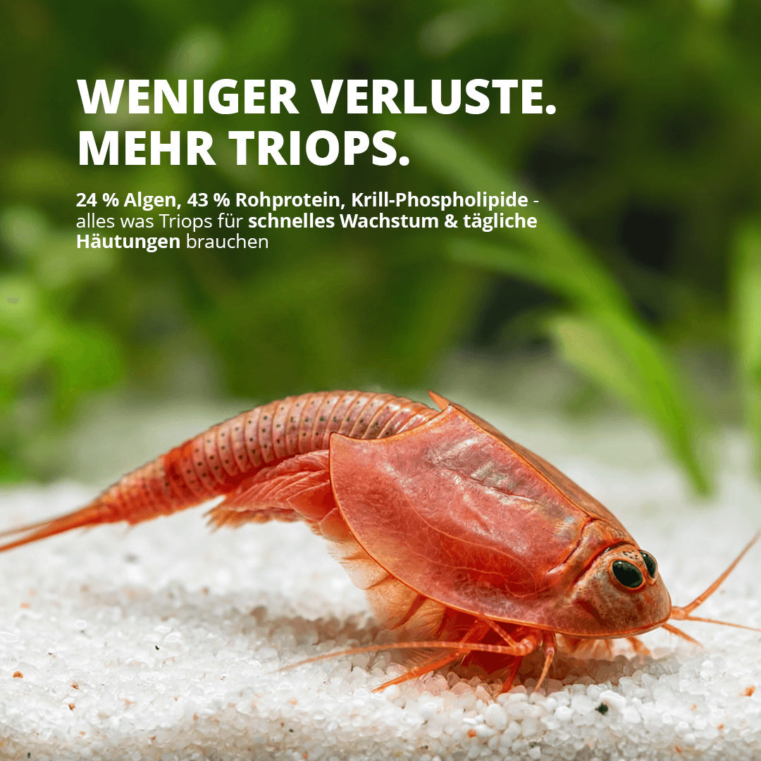 NatureHolic Triops Feed - 20g