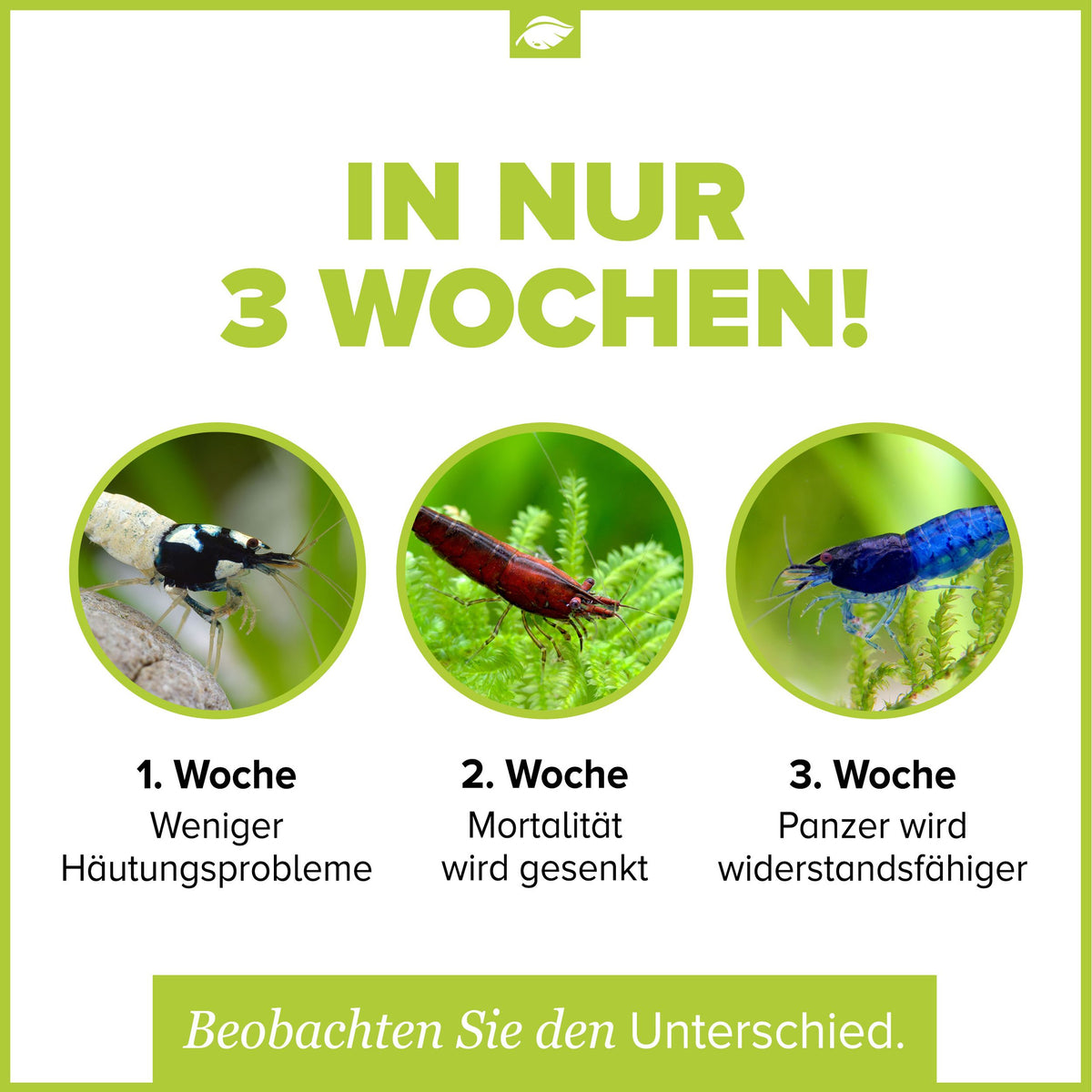 Mineralfeed Probepackung